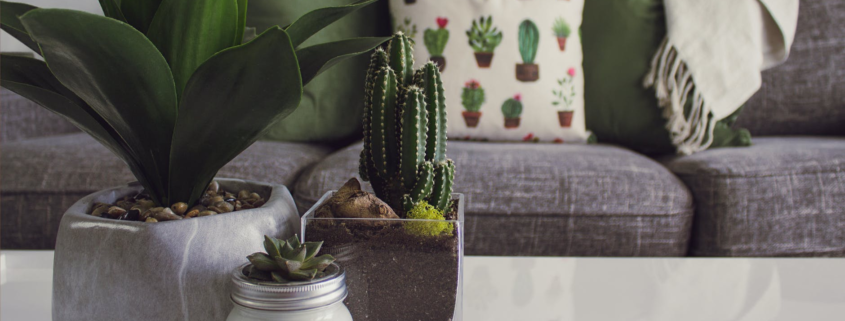 Living room with popping, green pieces