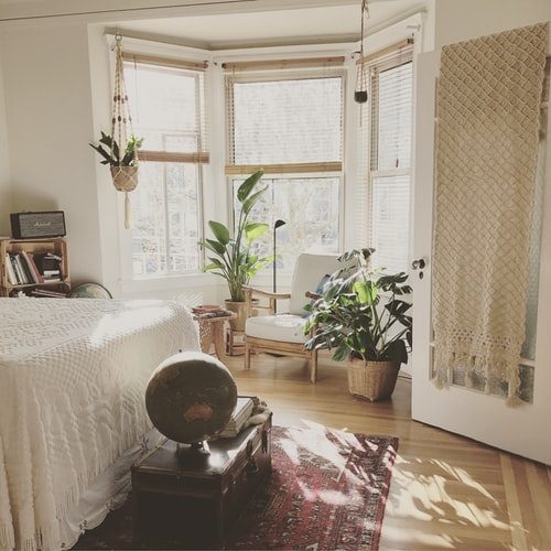 White bedroom with indoor plants